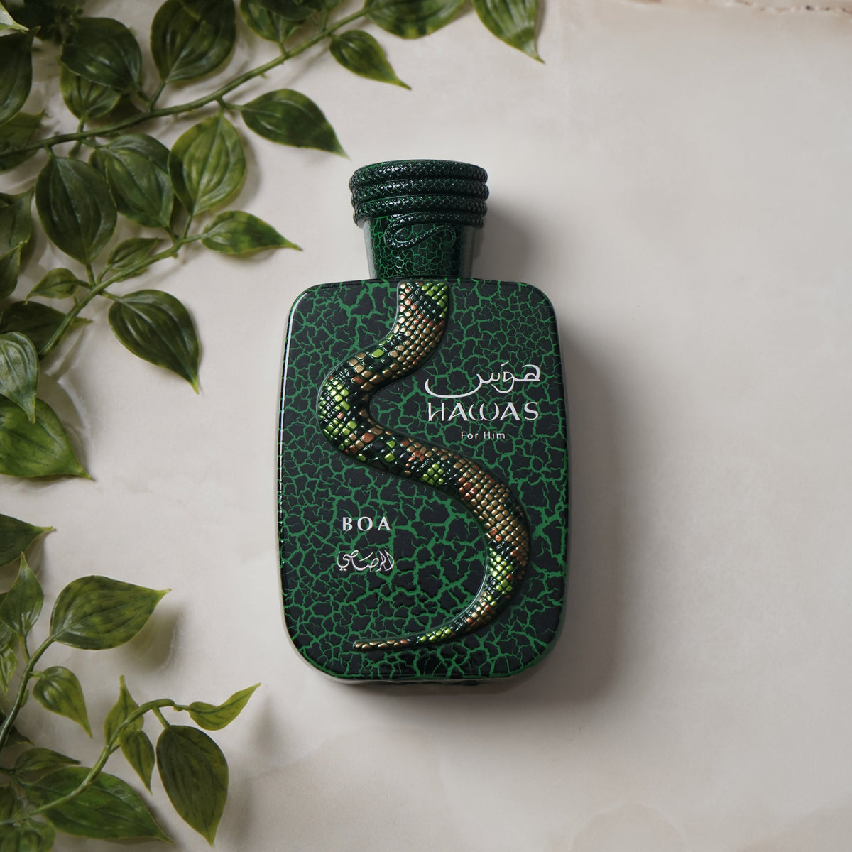 Rasasi Hawas Boa men's fragrance
