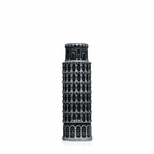 Pisa image 1
