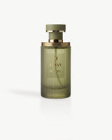 Roots Perfume 100ml by Dubai Oud