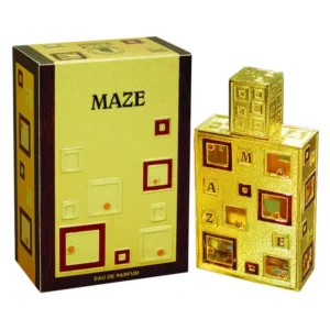 Maze EDP